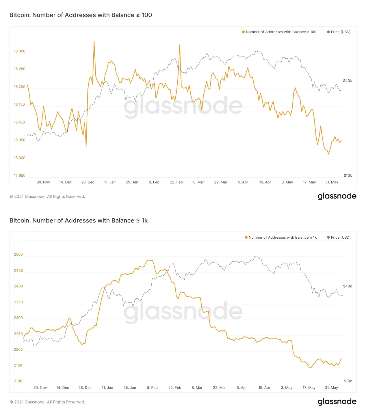 2021年以来持仓大于100/1000 BTC的地址数变化,来源glassnode