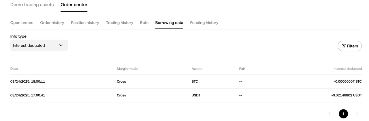 BorrowingDataInterest EN