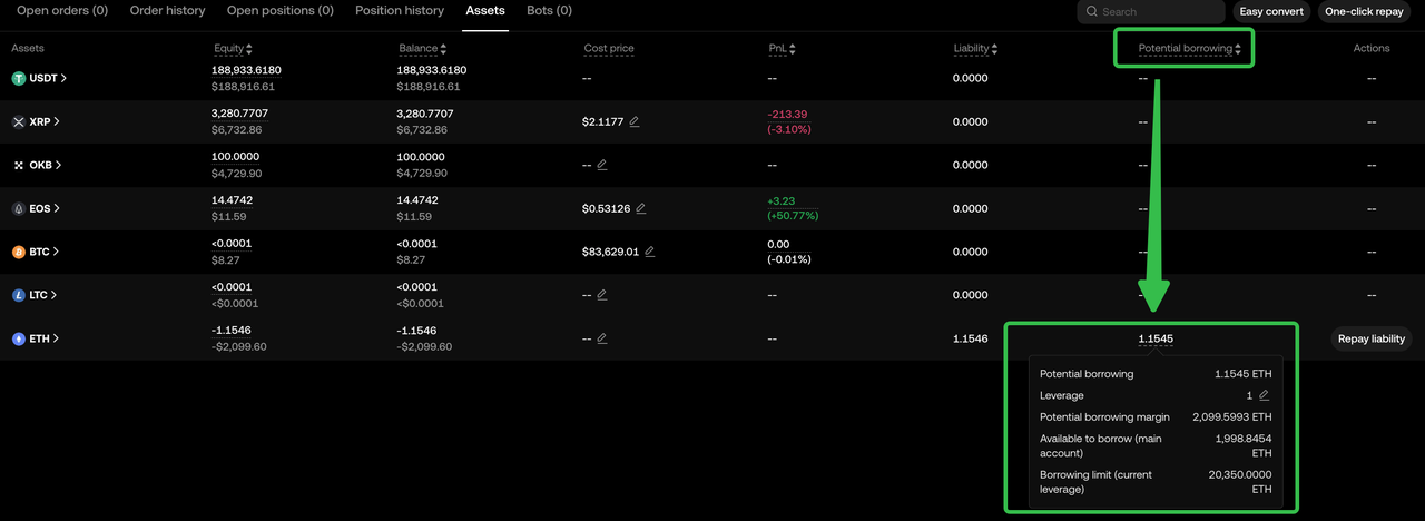 Asset Tab PBorrowingData EN