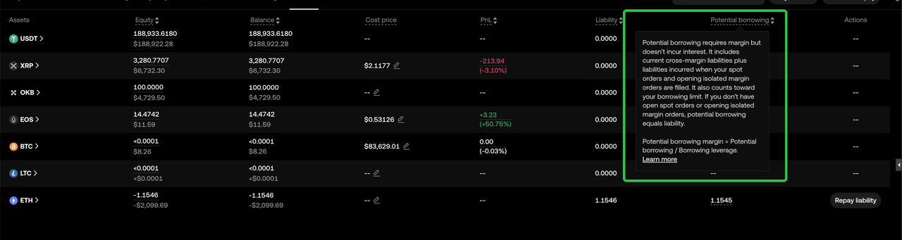 Asset Tab PotentBorrowing EN