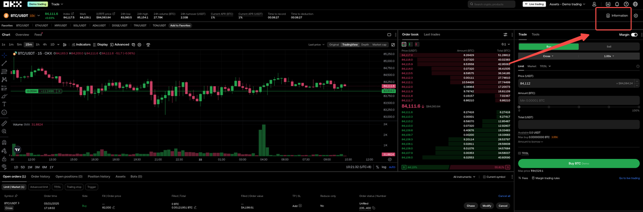 MarketBorrowingInfo1 EN